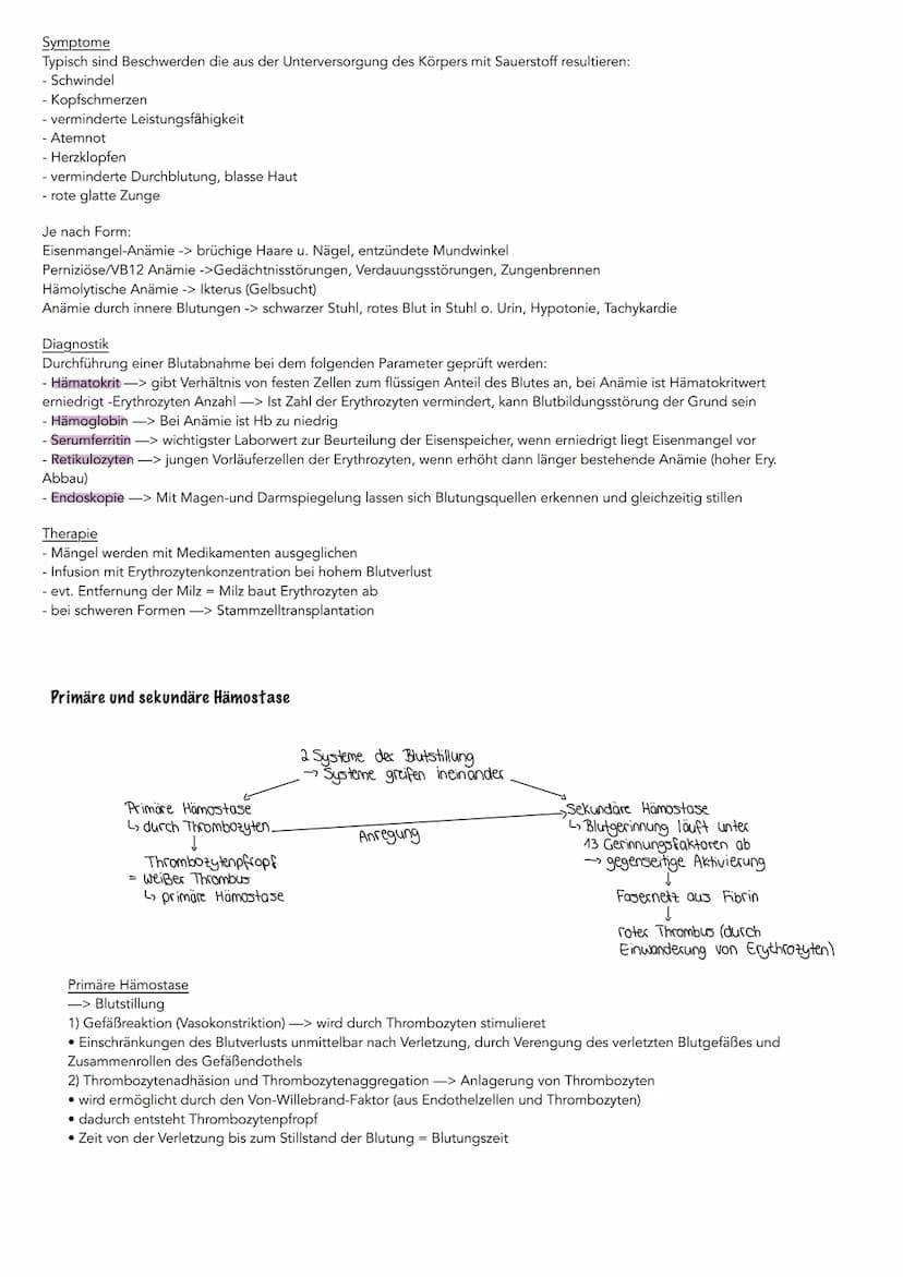 Bestandteile des Bluts
Serum
(Blutplasma
ohne
Fibrinogen)
Wasser
Blutplasma
(Blutflüssigkeit)
Fibrinogen
(Gerinnungsstoff)
geloste Stoffe
Pr