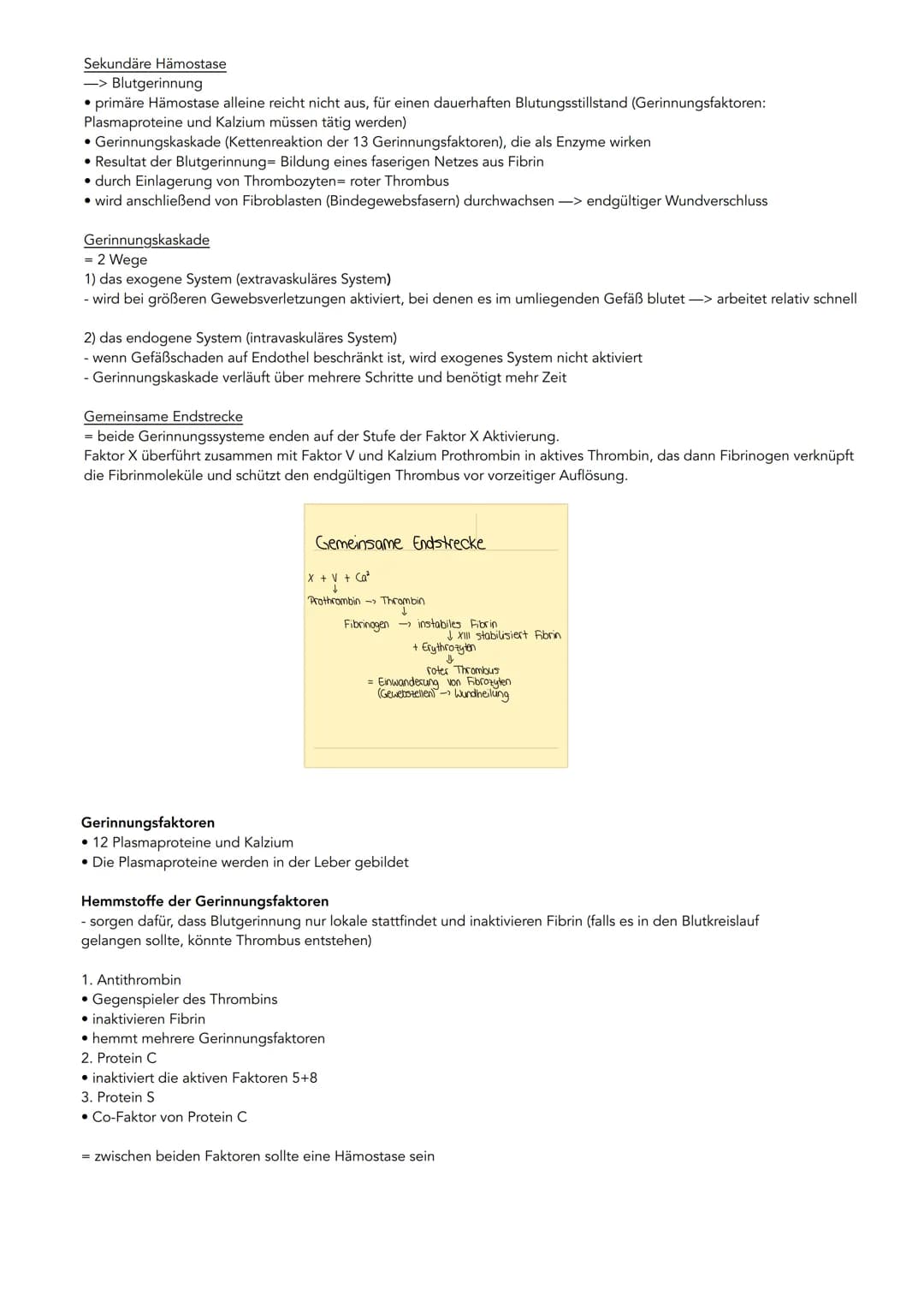 Bestandteile des Bluts
Serum
(Blutplasma
ohne
Fibrinogen)
Wasser
Blutplasma
(Blutflüssigkeit)
Fibrinogen
(Gerinnungsstoff)
geloste Stoffe
Pr