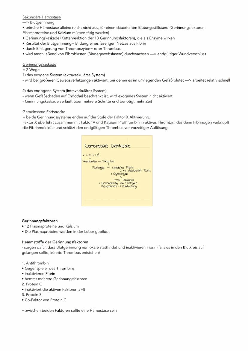 Bestandteile des Bluts
Serum
(Blutplasma
ohne
Fibrinogen)
Wasser
Blutplasma
(Blutflüssigkeit)
Fibrinogen
(Gerinnungsstoff)
geloste Stoffe
Pr