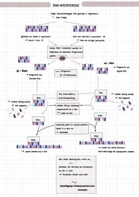 Know RNA-Interferenz thumbnail