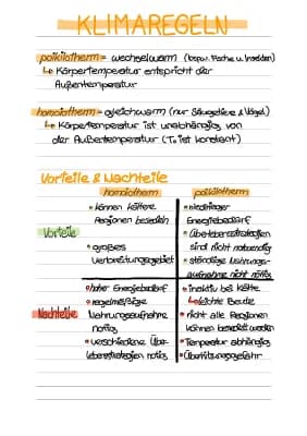 Know Klimaregeln (+ poikilotherm/homoiotherm) thumbnail