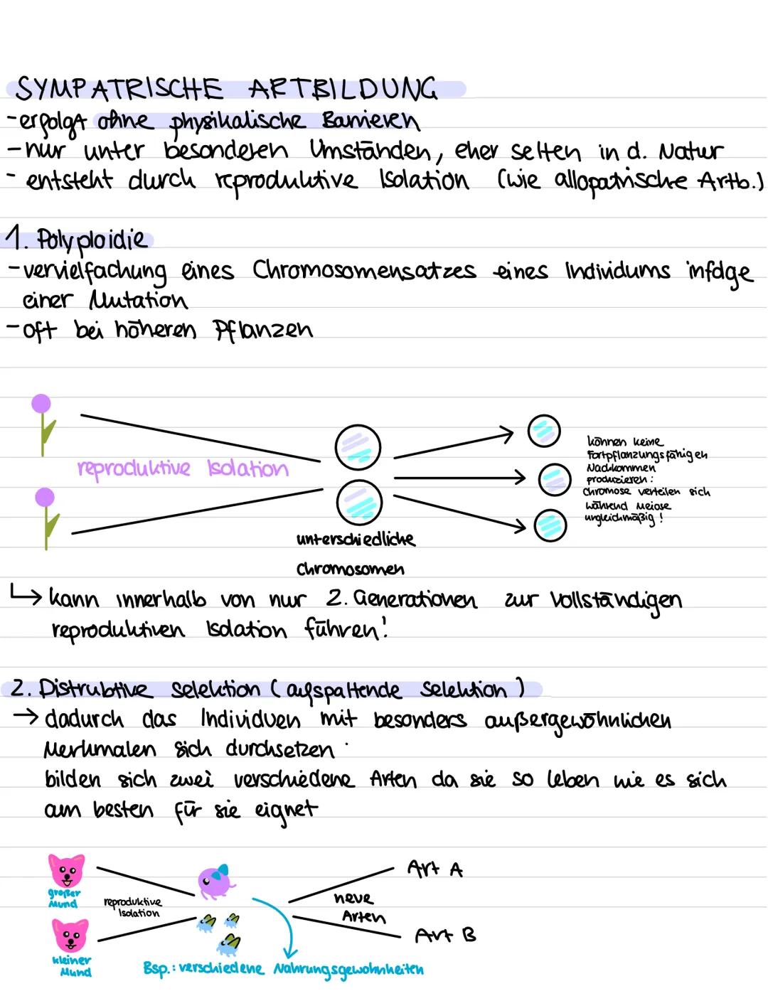 Evolution:
Alles, was wir gemacht haben:
Darwin und seine Erkenntnisse
Die darauf aufbauende synthetische Theorie der Evolution mit den Evol