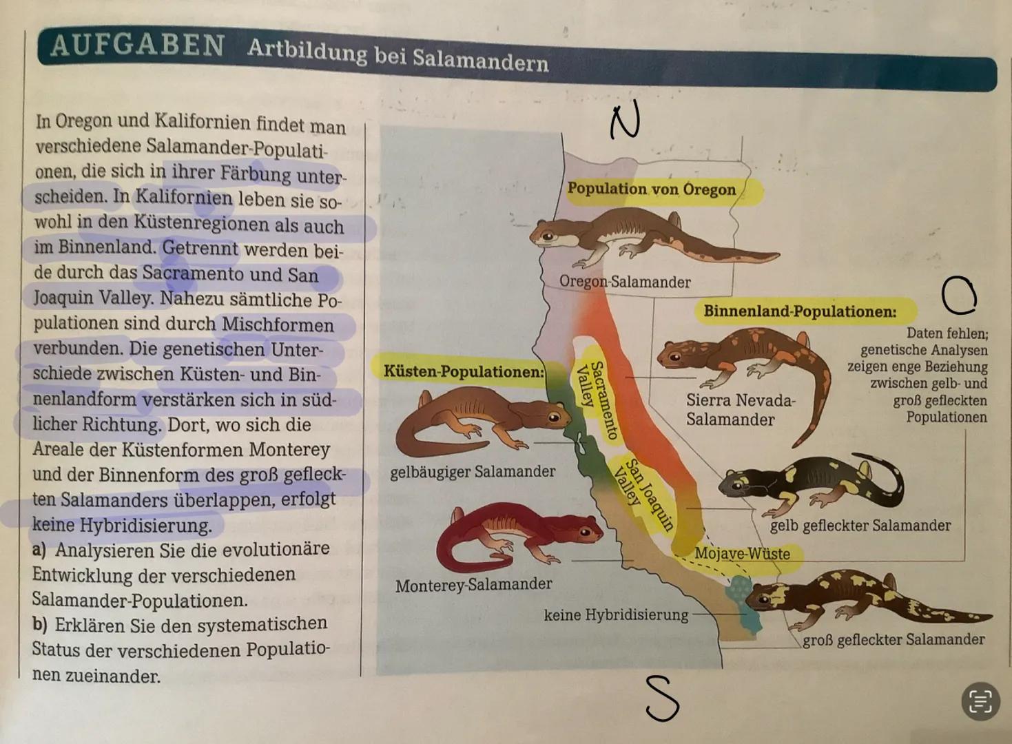 Evolution:
Alles, was wir gemacht haben:
Darwin und seine Erkenntnisse
Die darauf aufbauende synthetische Theorie der Evolution mit den Evol