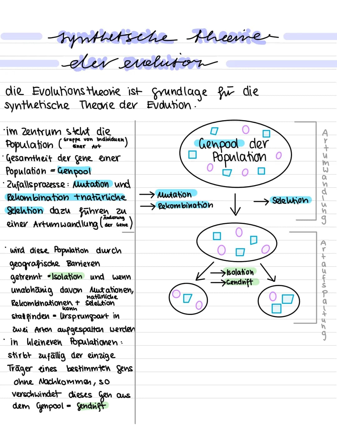 Evolution:
Alles, was wir gemacht haben:
Darwin und seine Erkenntnisse
Die darauf aufbauende synthetische Theorie der Evolution mit den Evol