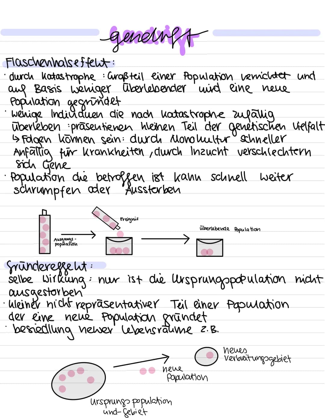 Evolution:
Alles, was wir gemacht haben:
Darwin und seine Erkenntnisse
Die darauf aufbauende synthetische Theorie der Evolution mit den Evol