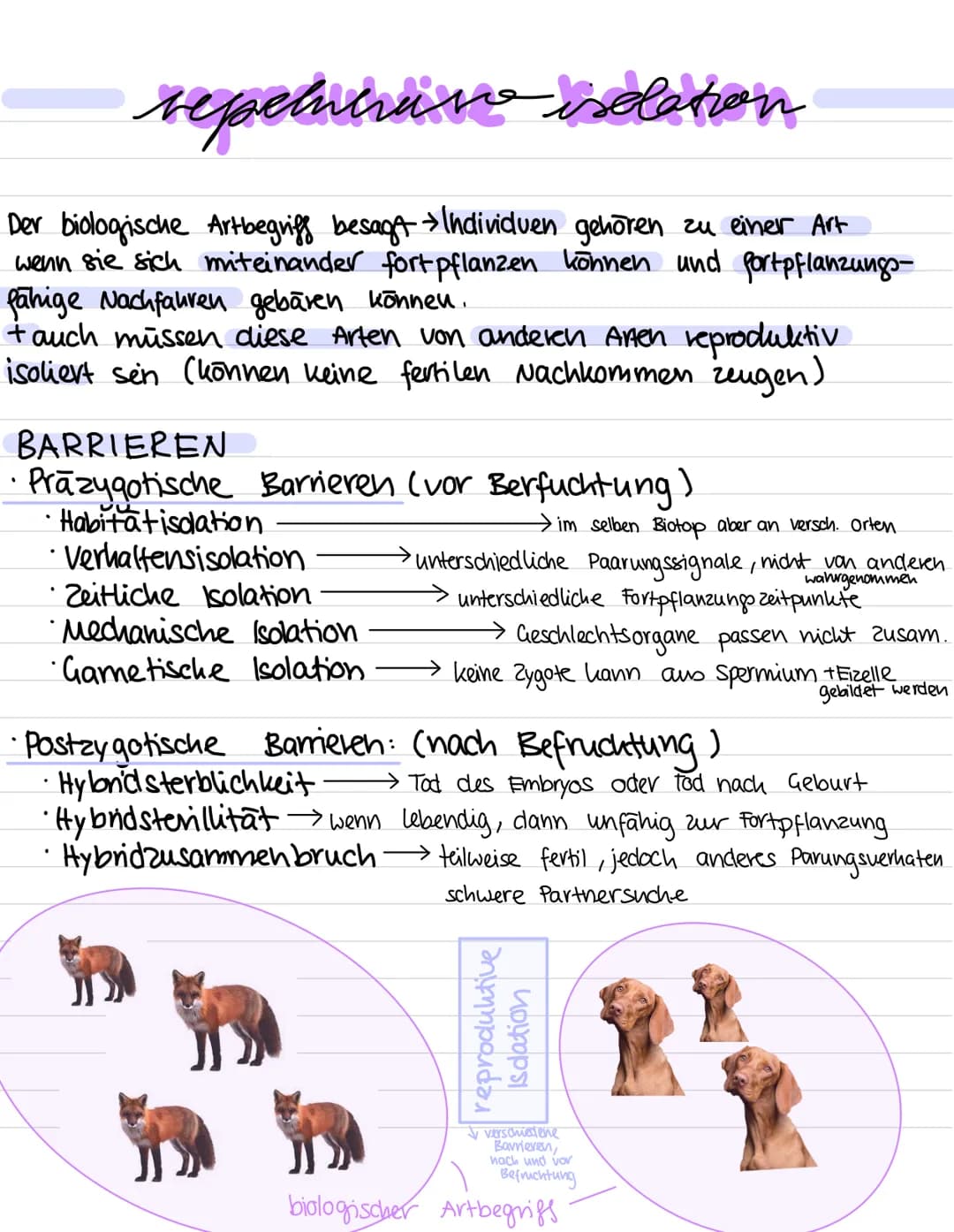 Evolution:
Alles, was wir gemacht haben:
Darwin und seine Erkenntnisse
Die darauf aufbauende synthetische Theorie der Evolution mit den Evol