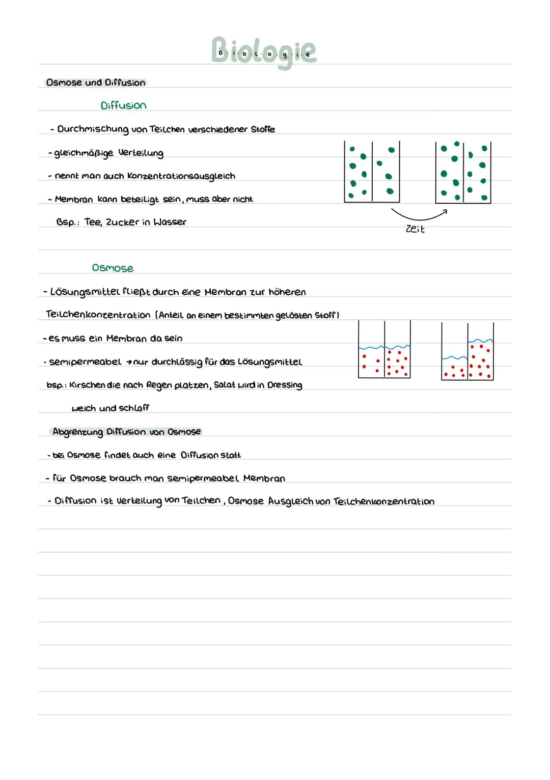 Fachbegriffe
hydrophil liebt Wasser, Fett abweisend
hydrophob Wasser abweisend, Liebl Fett
semi-permeabel = halb durchlässig, Membran lässt 