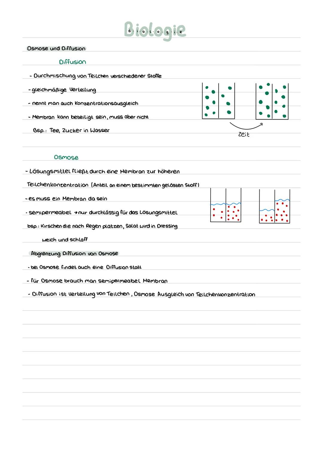 Einfach erklärt Was ist eine semipermeable Membran? Entdecke den Unterschied zwischen Osmose