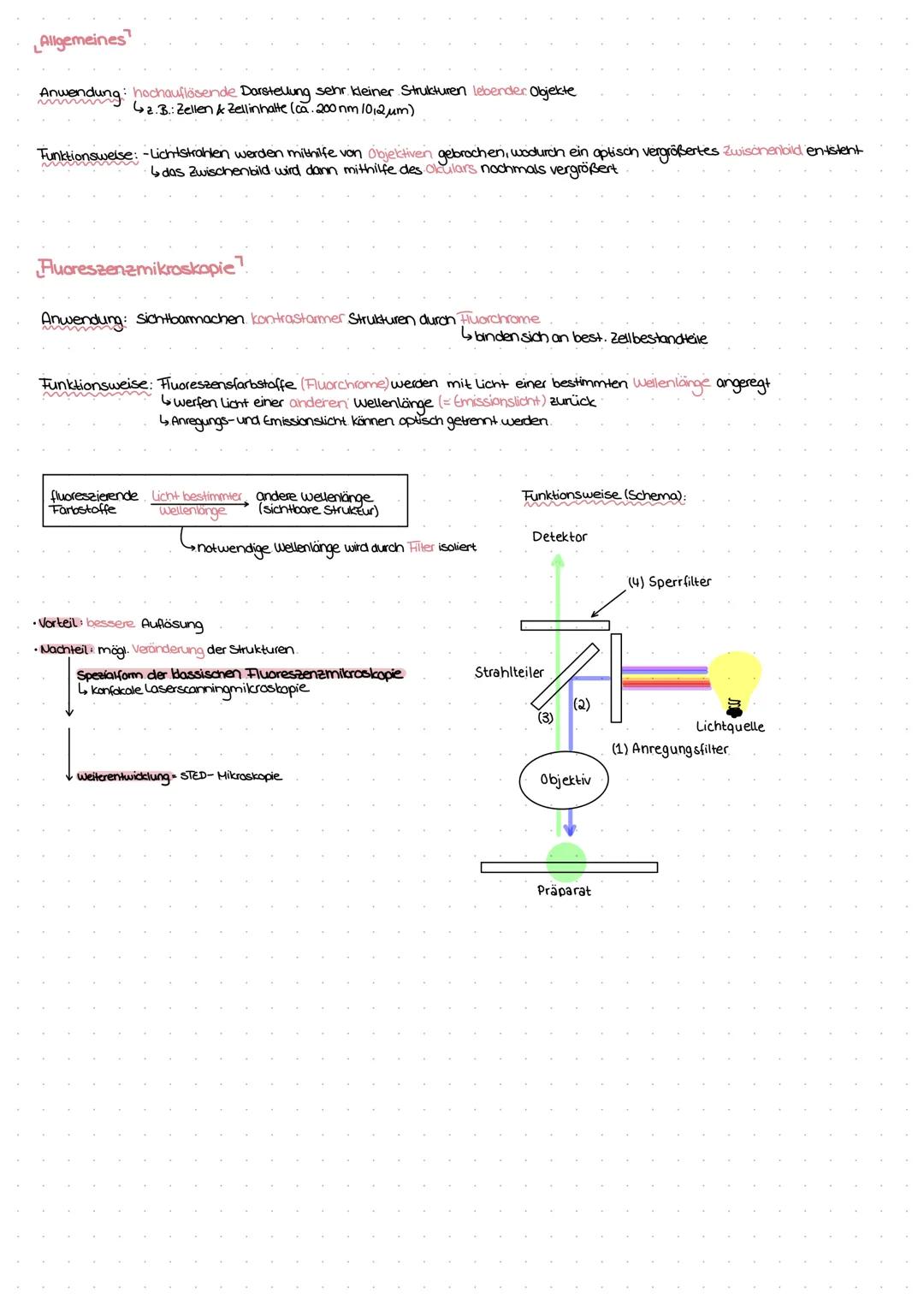 Lichtmikroskopie.
Objekt wird durch Kombination von zwei Linsensystemen vergrößert →Objektiv Liefert größeres Zwischenbild, dieses wird vom 