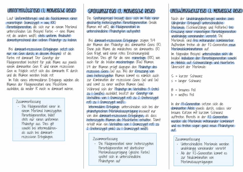 KLASSISCHE
Die Mendelschen Regeln
Wer war Gregor Mendel?
Als der Augustinermönch Gregor Mendel (1822-1884) in den 60er
Jahren des 19. Jahrhu