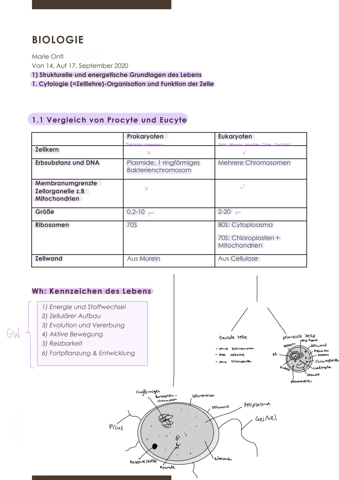  GW
BIOLOGIE
Marie Ontl
Von 14. Auf 17. September 2020
1) Strukturelle und energetische Grundlagen des Lebens
1. Cytologie (=Zelllehre)-Orga