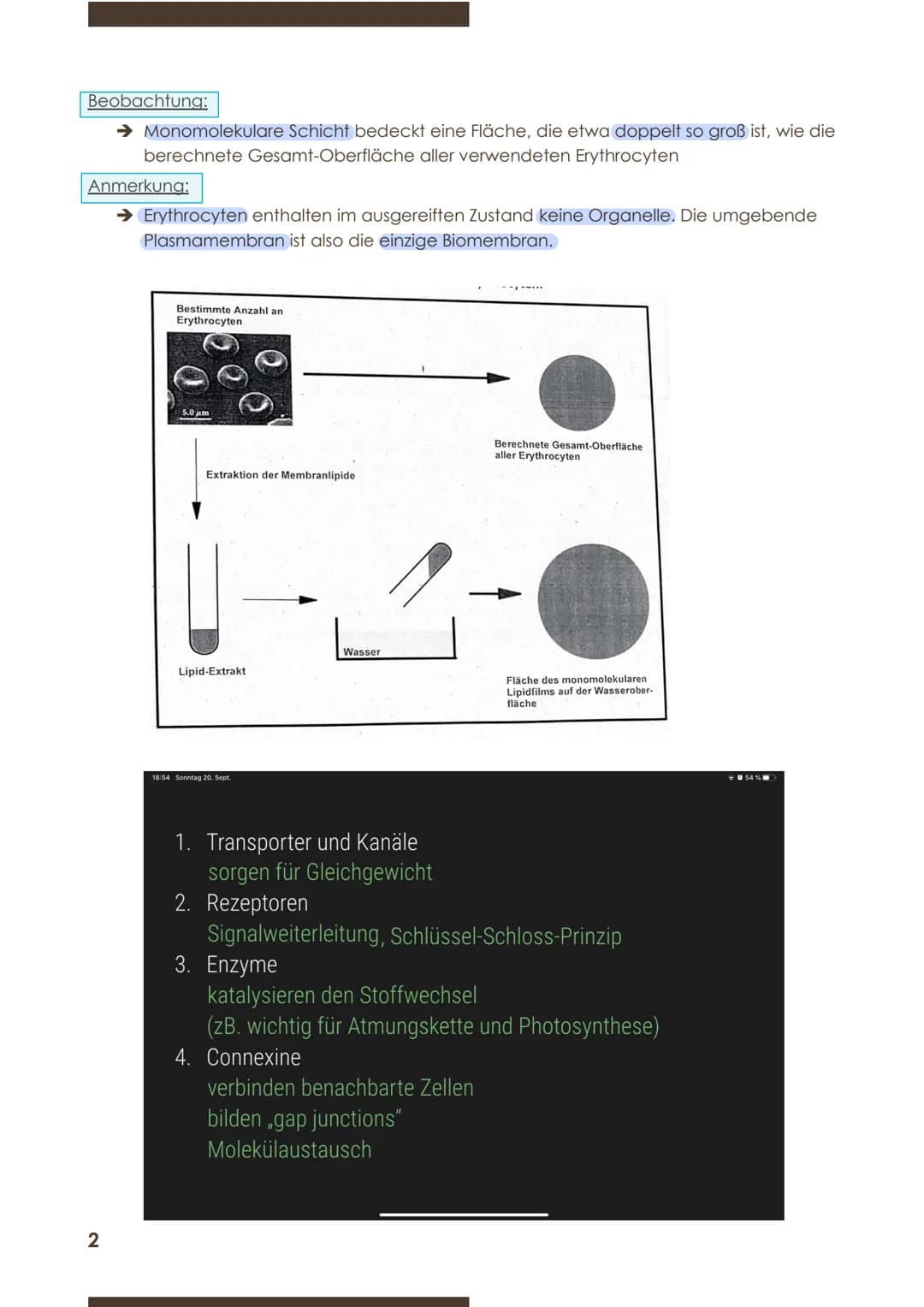  GW
BIOLOGIE
Marie Ontl
Von 14. Auf 17. September 2020
1) Strukturelle und energetische Grundlagen des Lebens
1. Cytologie (=Zelllehre)-Orga