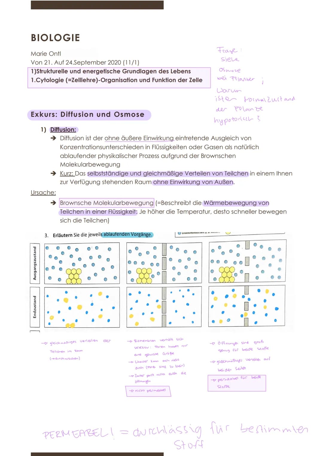  GW
BIOLOGIE
Marie Ontl
Von 14. Auf 17. September 2020
1) Strukturelle und energetische Grundlagen des Lebens
1. Cytologie (=Zelllehre)-Orga