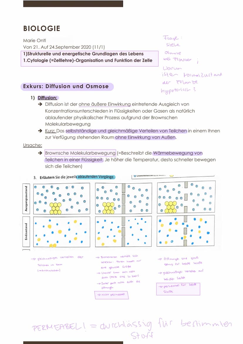  GW
BIOLOGIE
Marie Ontl
Von 14. Auf 17. September 2020
1) Strukturelle und energetische Grundlagen des Lebens
1. Cytologie (=Zelllehre)-Orga
