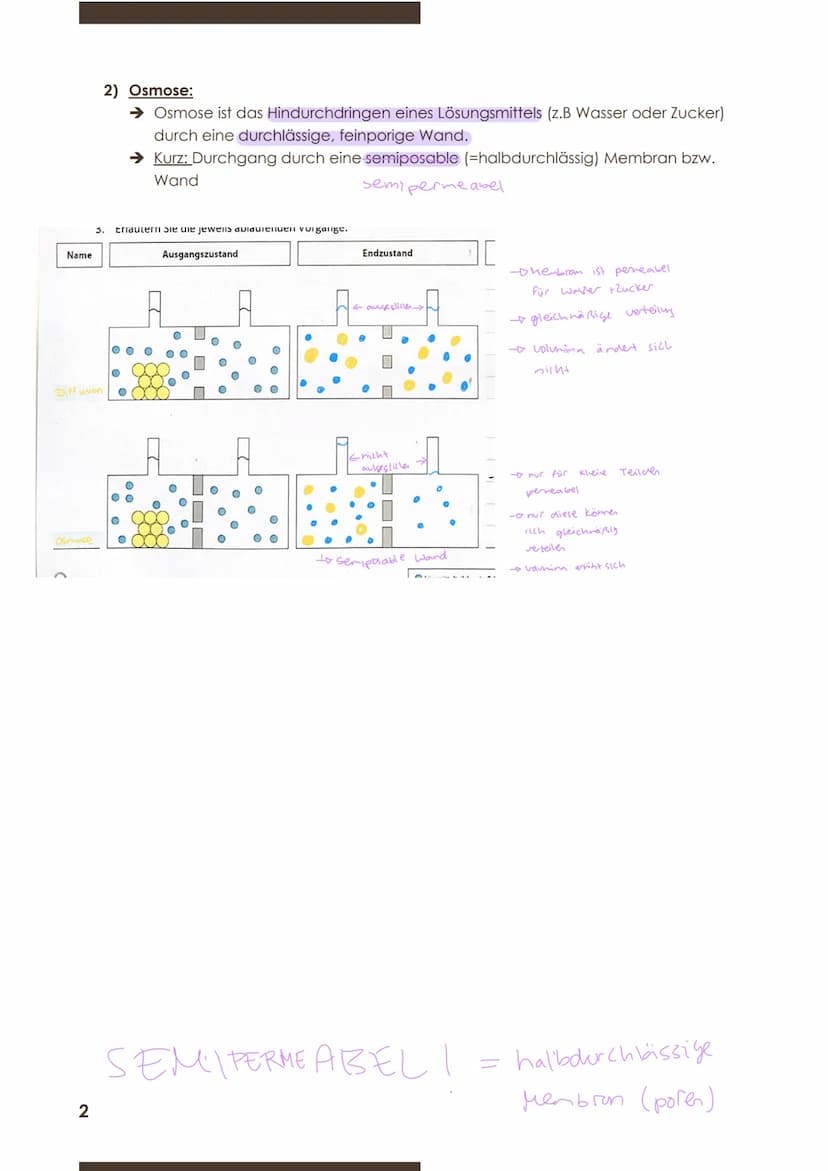  GW
BIOLOGIE
Marie Ontl
Von 14. Auf 17. September 2020
1) Strukturelle und energetische Grundlagen des Lebens
1. Cytologie (=Zelllehre)-Orga