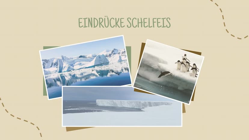 ANTARKTISCHE
DER
KONTINENT
— —
Nina Männel ERRENTER
-30
TOPOGRAPHIE
Unter Eispanzer kilometerlange Gebirge mit zerklüfteten Schluchten
Fläch