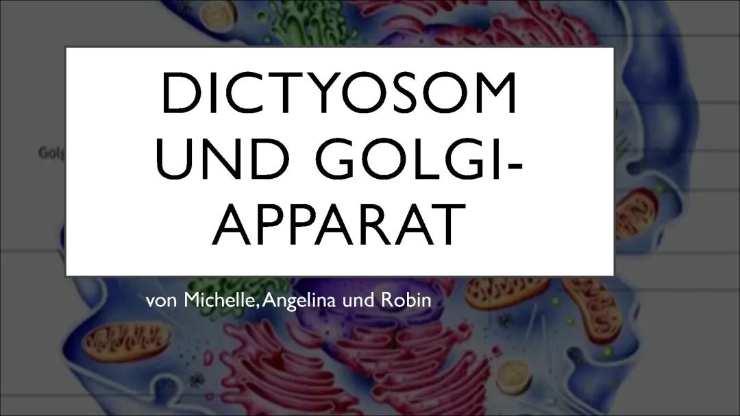 Golgi Apparat Dictysomen
