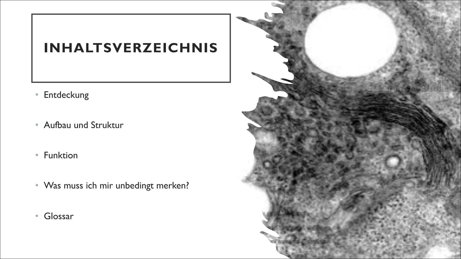 Gol
DICTYOSOM
UND GOLGI-
APPARAT
von Michelle, Angelina und Robin
NA ●
●
●
INHALTSVERZEICHNIS
Entdeckung
Aufbau und Struktur
Funktion
Was mu