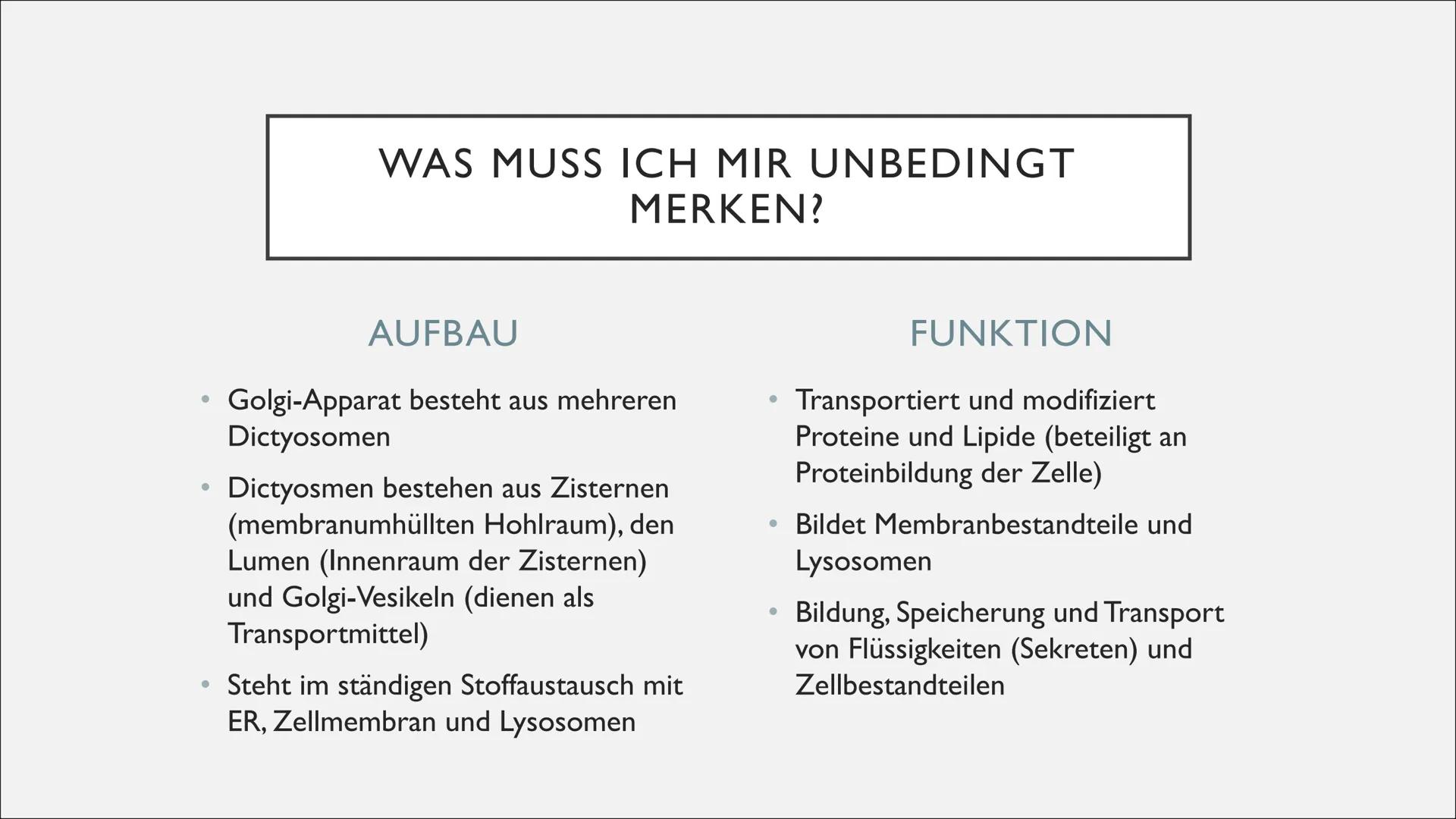 Gol
DICTYOSOM
UND GOLGI-
APPARAT
von Michelle, Angelina und Robin
NA ●
●
●
INHALTSVERZEICHNIS
Entdeckung
Aufbau und Struktur
Funktion
Was mu