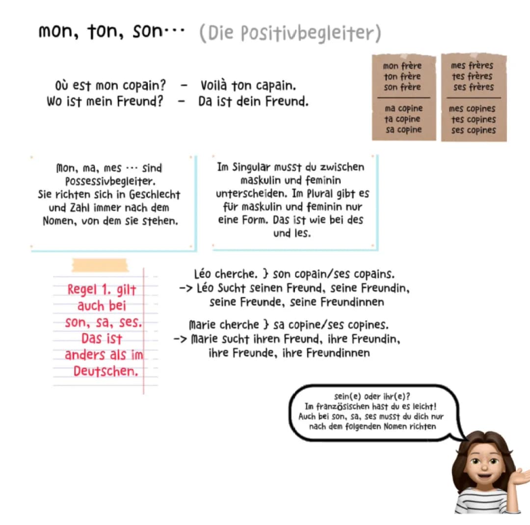 Die Possessivbegleiter