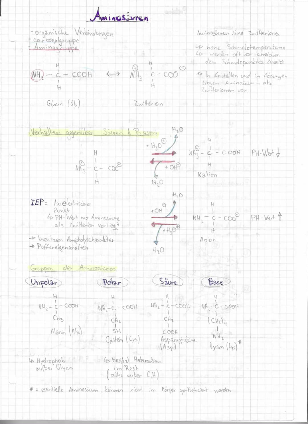 A
NN-C-C-0-4
1
H
H
Peptid bindung
Gly
101
H
1
4
R₁
(R3)
(R7)
Proteine sind aus den
aufgebaut, 8 esserelle
H
=
H
C-
Kondensation
-Dentsteht W