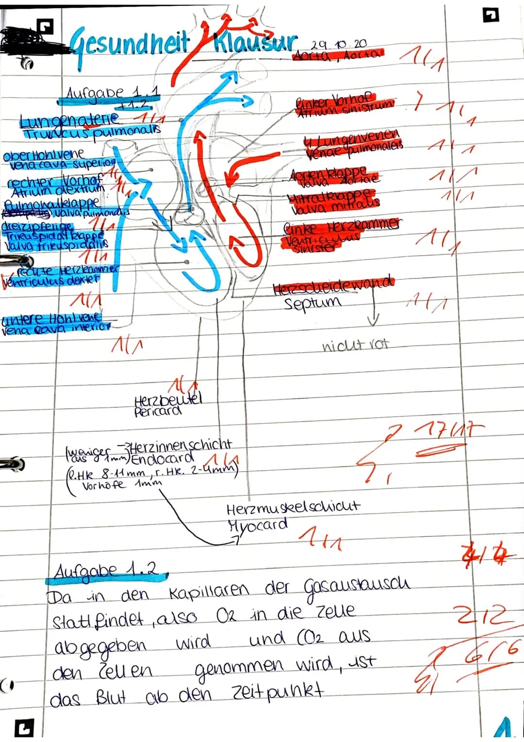 Definition Definition,
Definition. Ente
Prognose
Wenn
möglich
vermutlich
-
Membranose & Ventrikel septum-
Membran att
operen Tellisen)
Perim