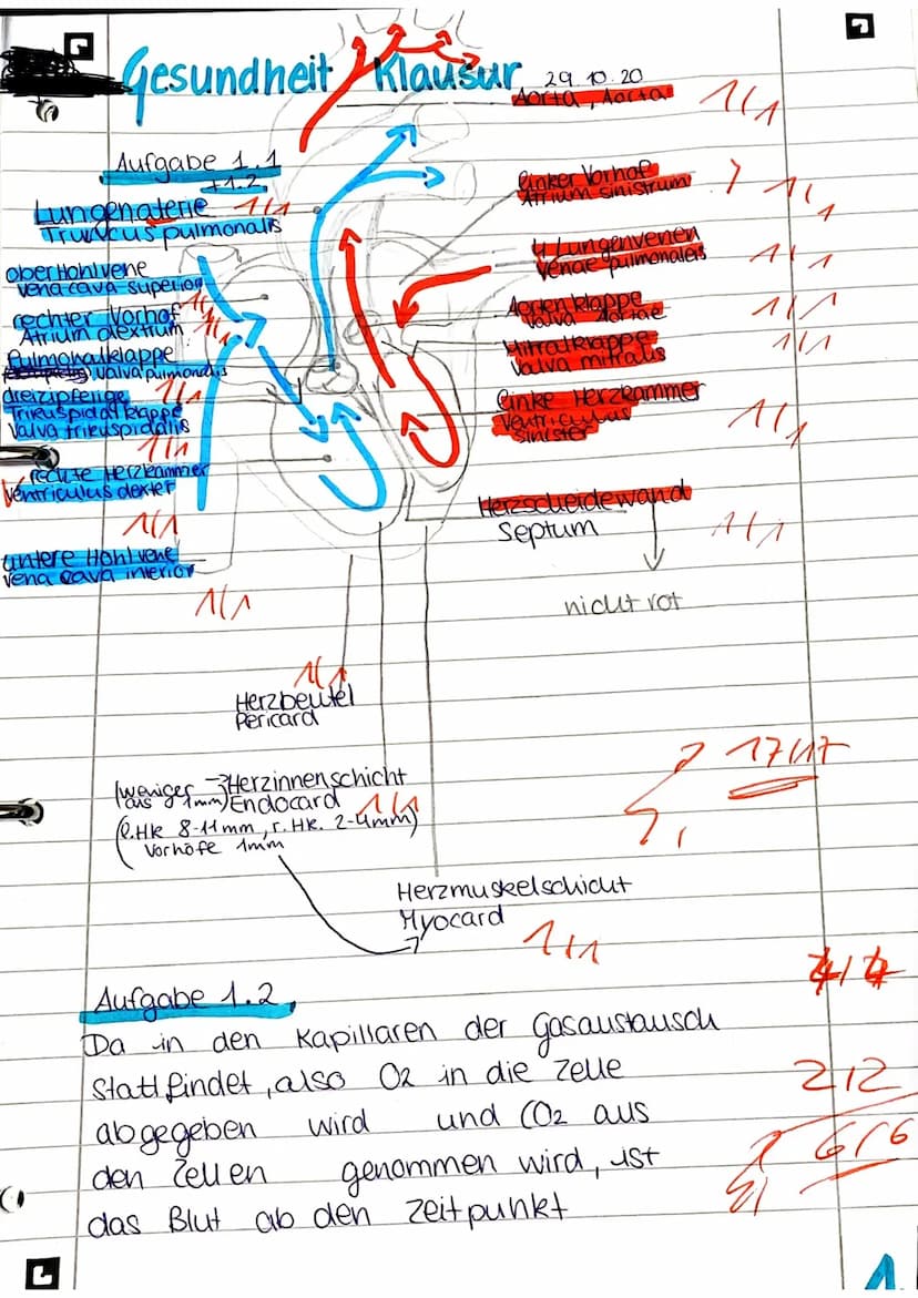 Definition Definition,
Definition. Ente
Prognose
Wenn
möglich
vermutlich
-
Membranose & Ventrikel septum-
Membran att
operen Tellisen)
Perim