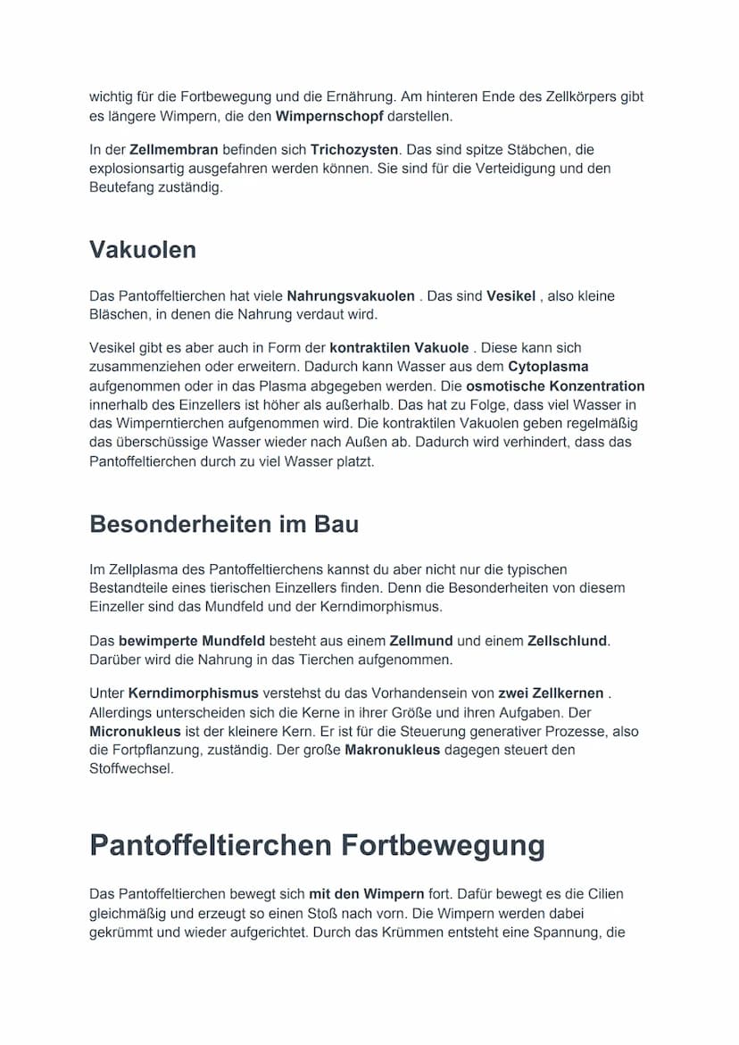 Pantoffeltierchen einfach erklärt
Das Pantoffeltierchen ist ein tierischer Einzeller. Der wissenschaftliche Begriff ist
Paramecium caudatum.
