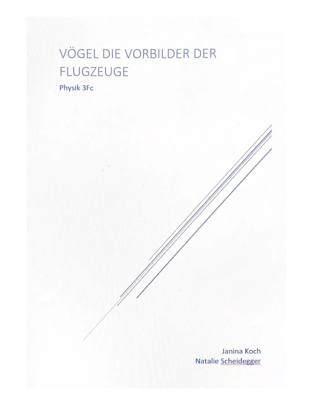 Vom Vogel zum Flugzeug: Warum Vögel fliegen können und die Bionik erklärt