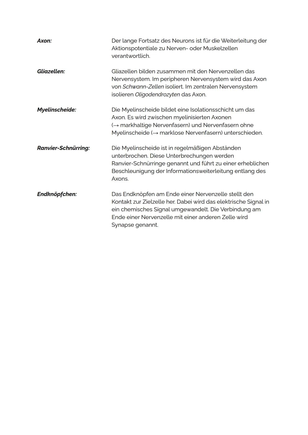 NEUROBIOLOGIE
NERVENZELLE
BAU EINER NERVENZELLE
Zellkörper
Dendriten:
Zellkern:
Dendrit
Zellkörper (Soma):
Axonhügel:
Dendriten
Zellkern
Som