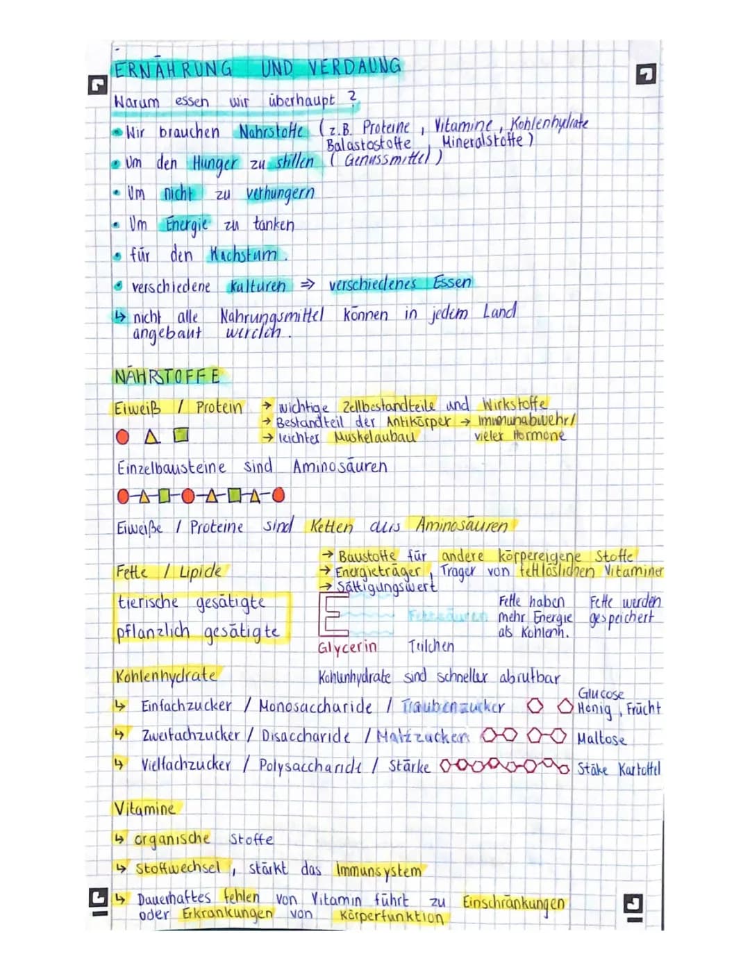 Ernährung, Verdauung 