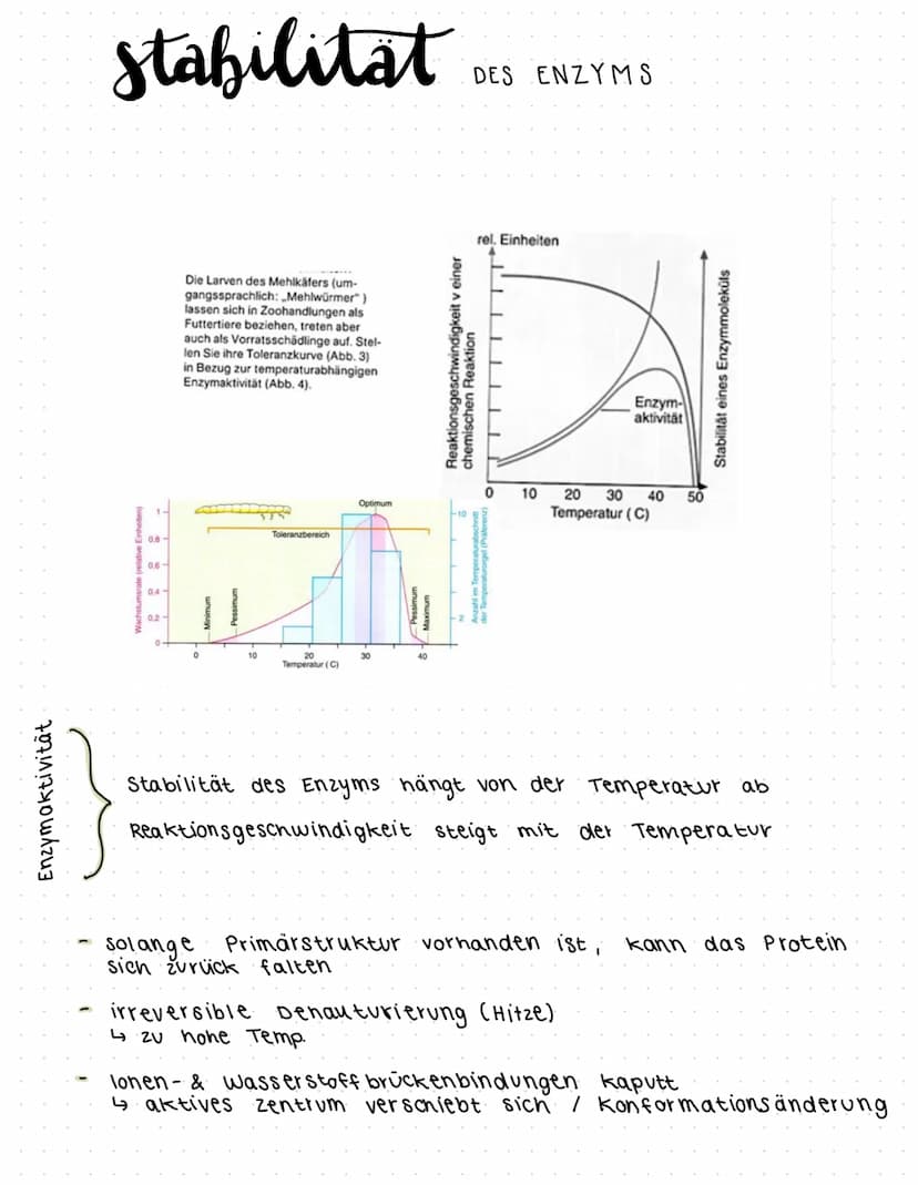 O O
OKOLOGIE
Oikos Haus (halt)
Logos- Lehre
→Die Lehre vom Haushalt der Natur
→ wechselbeziehung zwischen Lebewesen und ihrer belebten &
unb