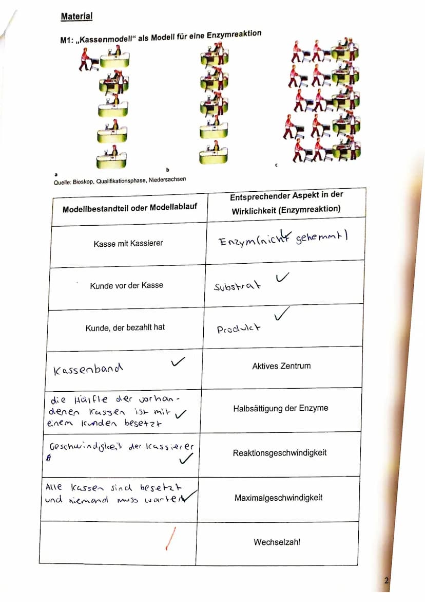 erreichte Bewertungseinheiten: 58,5
Prozent:
91%
von: 64
Notenpunkte:
14 suc
22111122
Aufgabe 1: Enzymatik
Toll gemacht, Sophie!..²
1.1 Skiz