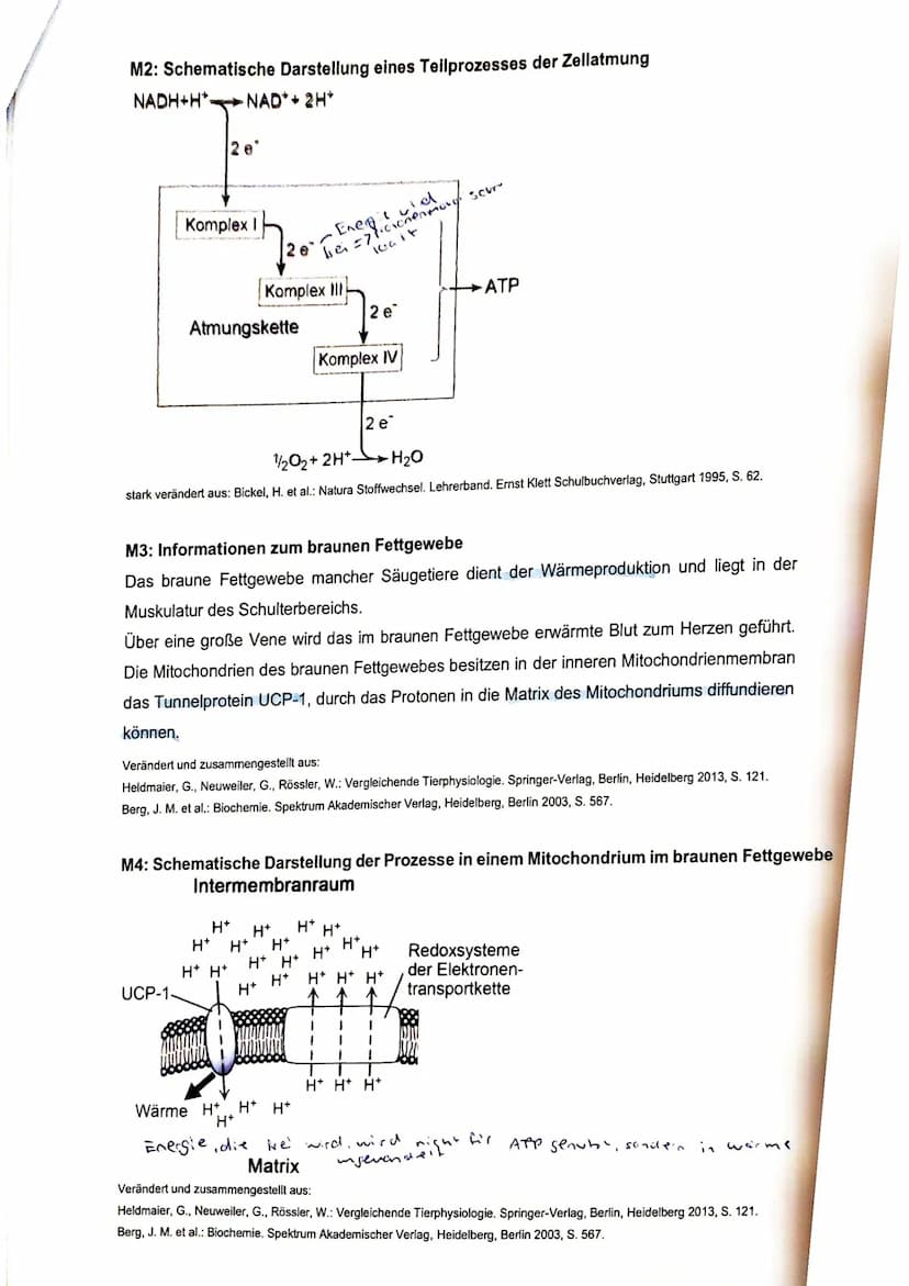 erreichte Bewertungseinheiten: 58,5
Prozent:
91%
von: 64
Notenpunkte:
14 suc
22111122
Aufgabe 1: Enzymatik
Toll gemacht, Sophie!..²
1.1 Skiz
