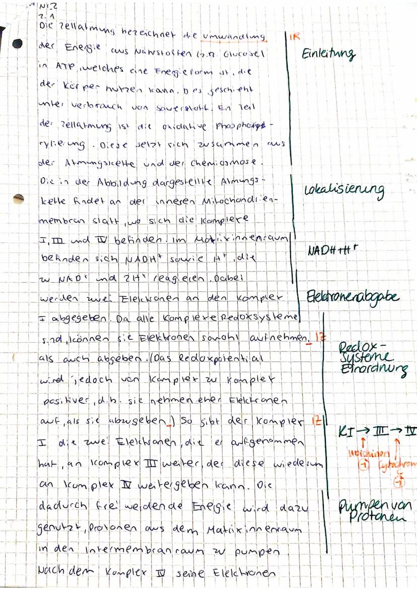 erreichte Bewertungseinheiten: 58,5
Prozent:
91%
von: 64
Notenpunkte:
14 suc
22111122
Aufgabe 1: Enzymatik
Toll gemacht, Sophie!..²
1.1 Skiz