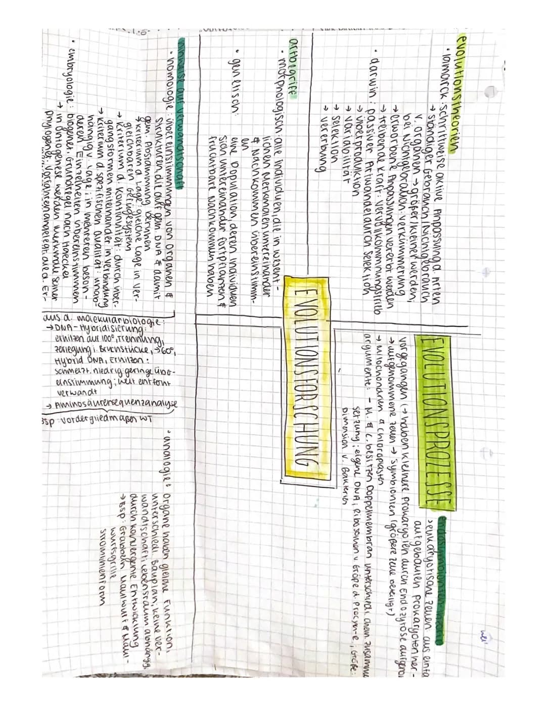 Molekulargenetik
Transformationswxperiment
Versuch von Griffith (1928)
1. Pneumokokkenstamm
Mit Schleimkapsel (virulent/pathogen), S-Stamm
2