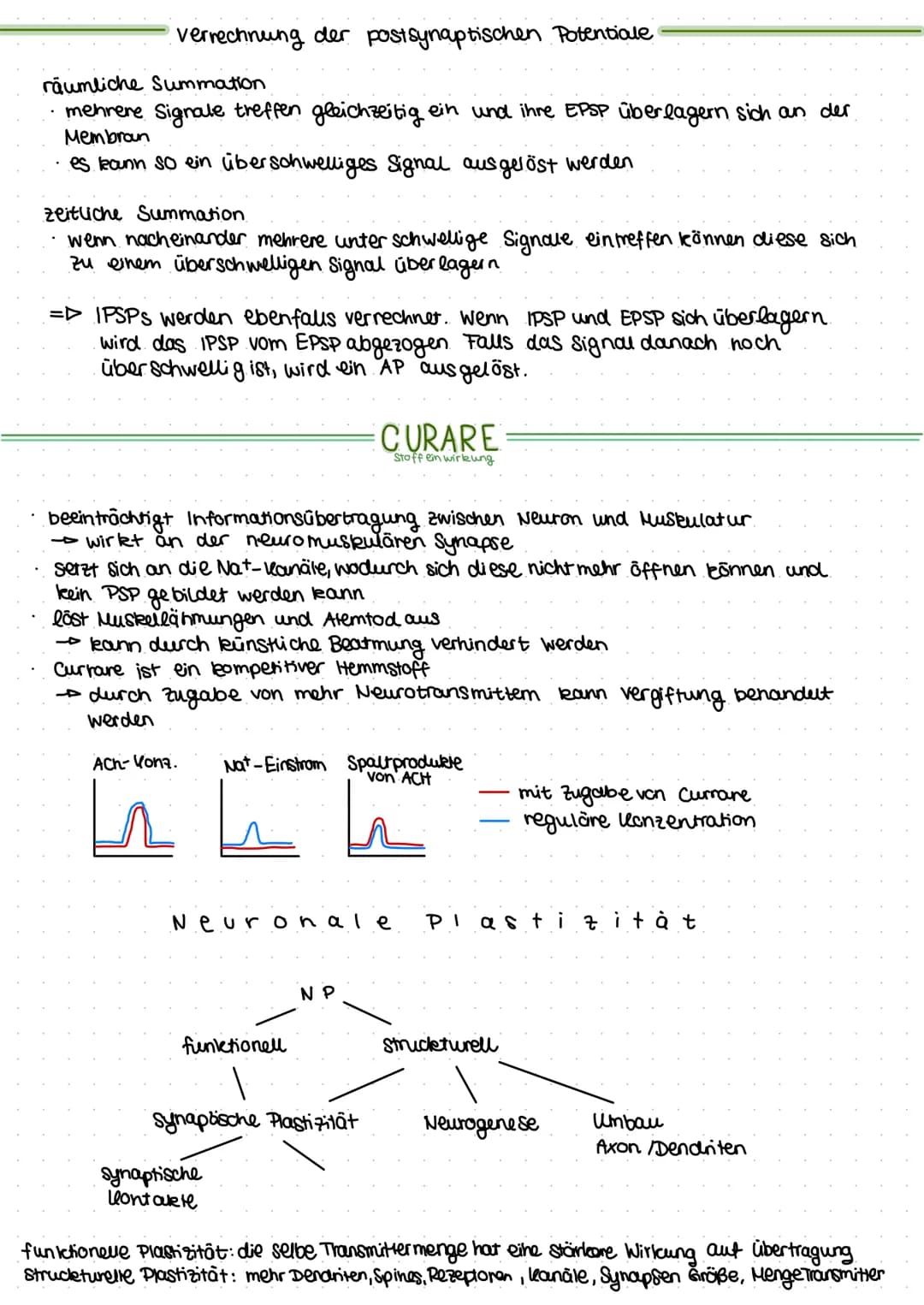 +
Dendrit
zeukern
Soma
-70 mV
K+ CL Nat
# # #
K+ CL
Na+
NEURO
Axonnigel
Rannvier'sche Schnür-/o
ringe
Axon mit
Schwannschen.
Zellen
umgeben
