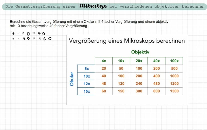- Freitag / Samstag
Samstag / Sonntag
• Sonntag / Montag
Biologie Test
- ein Lichtmikroskop beschriften und die Funktion der Bauteile nennen