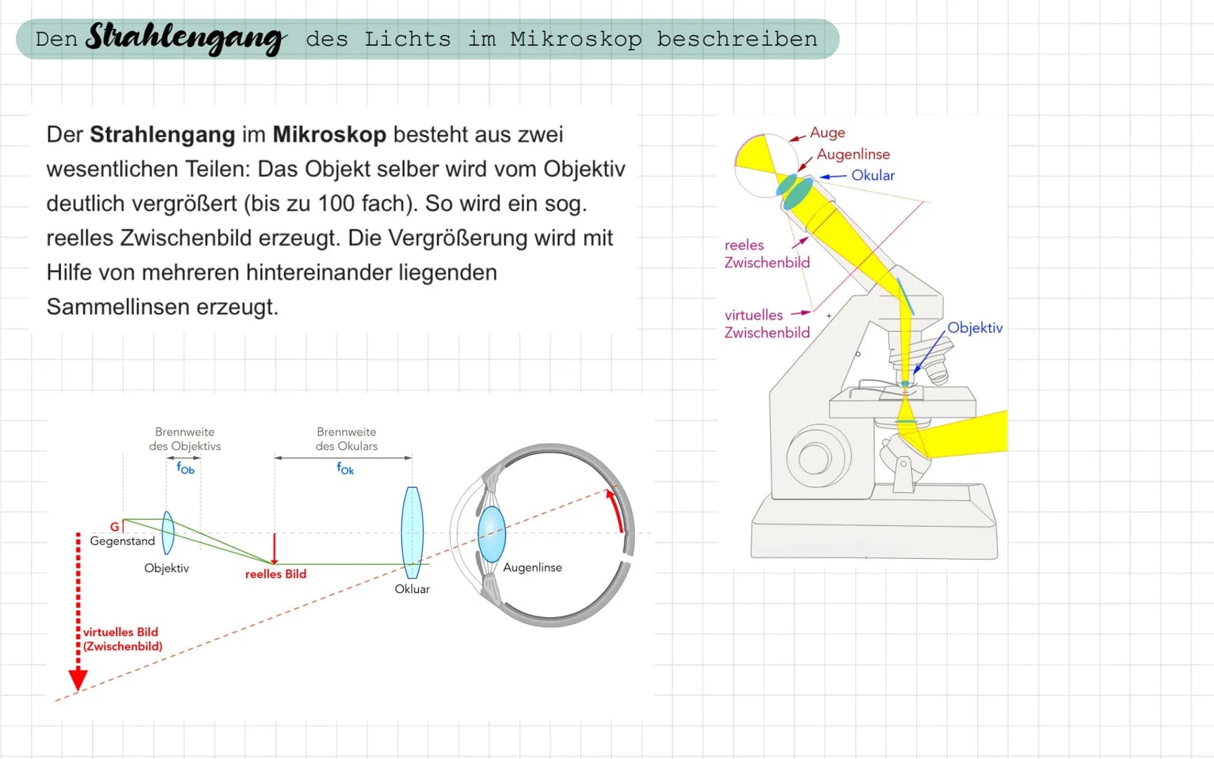 - Freitag / Samstag
Samstag / Sonntag
• Sonntag / Montag
Biologie Test
- ein Lichtmikroskop beschriften und die Funktion der Bauteile nennen