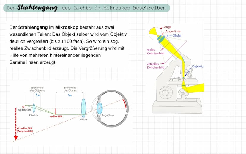 - Freitag / Samstag
Samstag / Sonntag
• Sonntag / Montag
Biologie Test
- ein Lichtmikroskop beschriften und die Funktion der Bauteile nennen
