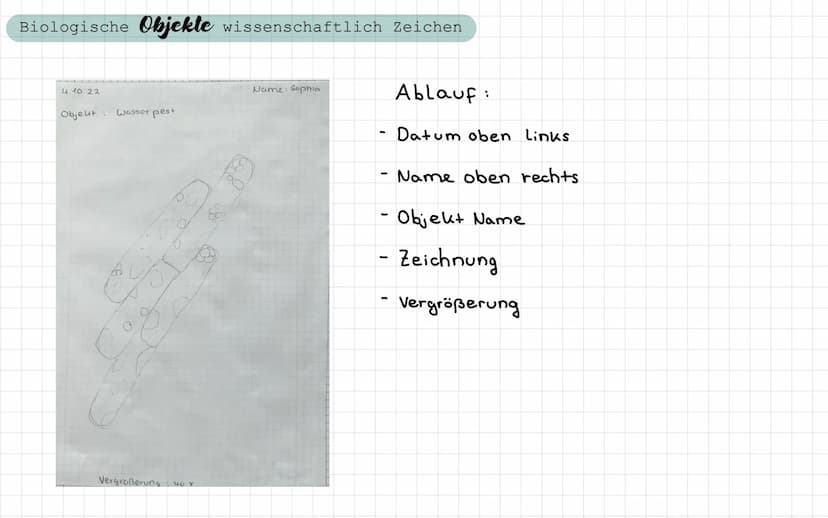 - Freitag / Samstag
Samstag / Sonntag
• Sonntag / Montag
Biologie Test
- ein Lichtmikroskop beschriften und die Funktion der Bauteile nennen