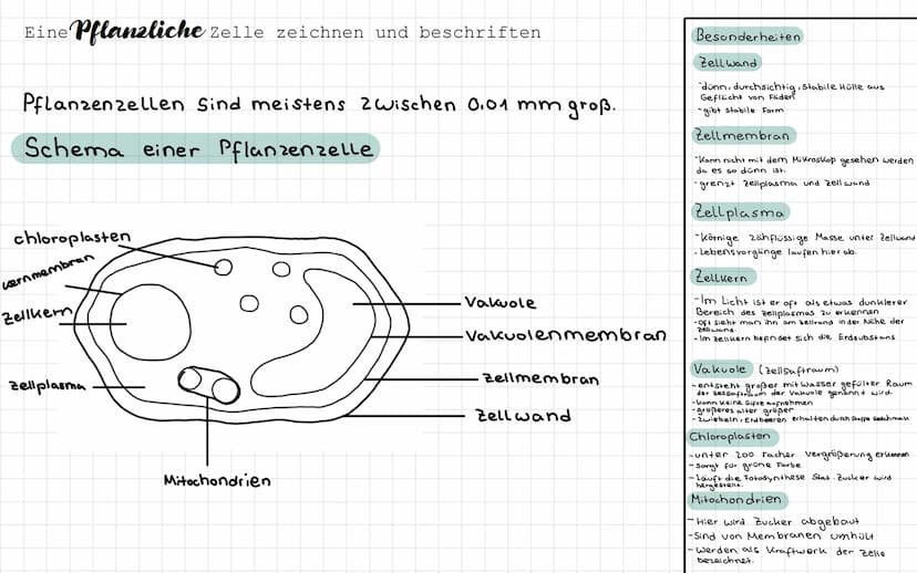 - Freitag / Samstag
Samstag / Sonntag
• Sonntag / Montag
Biologie Test
- ein Lichtmikroskop beschriften und die Funktion der Bauteile nennen