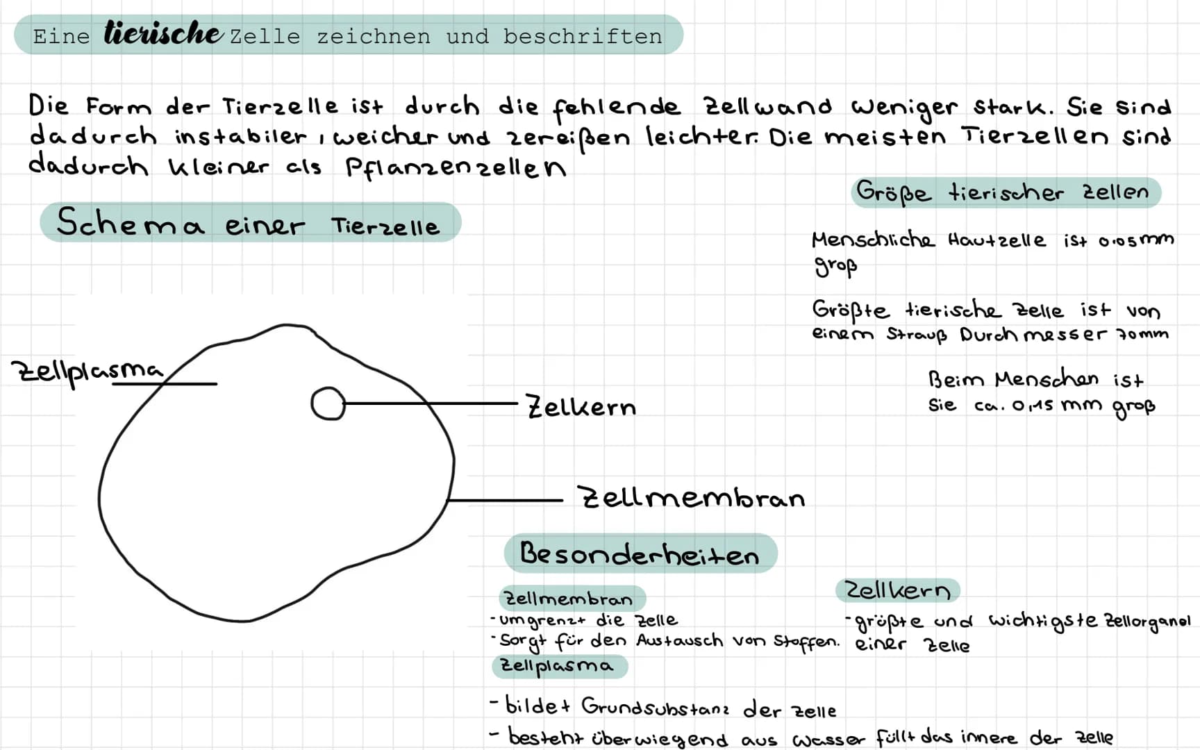 - Freitag / Samstag
Samstag / Sonntag
• Sonntag / Montag
Biologie Test
- ein Lichtmikroskop beschriften und die Funktion der Bauteile nennen
