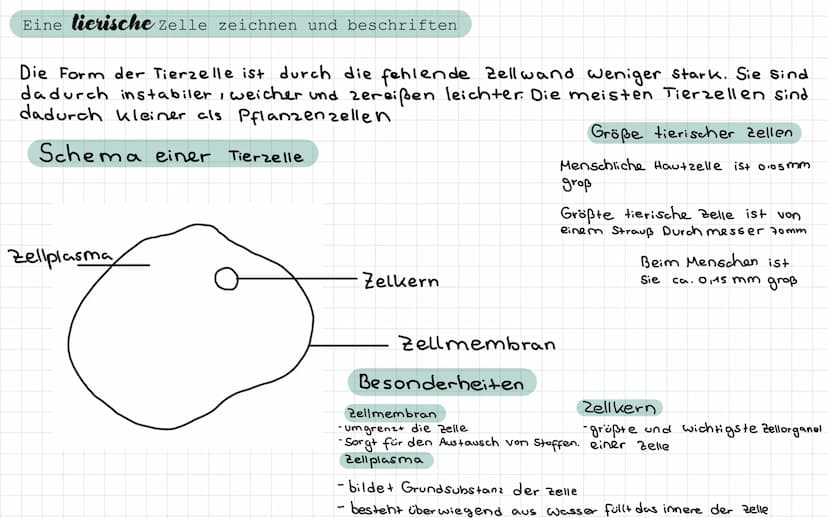 - Freitag / Samstag
Samstag / Sonntag
• Sonntag / Montag
Biologie Test
- ein Lichtmikroskop beschriften und die Funktion der Bauteile nennen