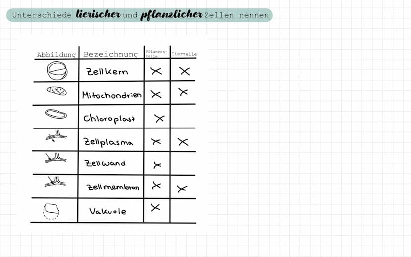 - Freitag / Samstag
Samstag / Sonntag
• Sonntag / Montag
Biologie Test
- ein Lichtmikroskop beschriften und die Funktion der Bauteile nennen
