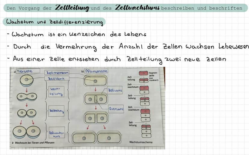 - Freitag / Samstag
Samstag / Sonntag
• Sonntag / Montag
Biologie Test
- ein Lichtmikroskop beschriften und die Funktion der Bauteile nennen