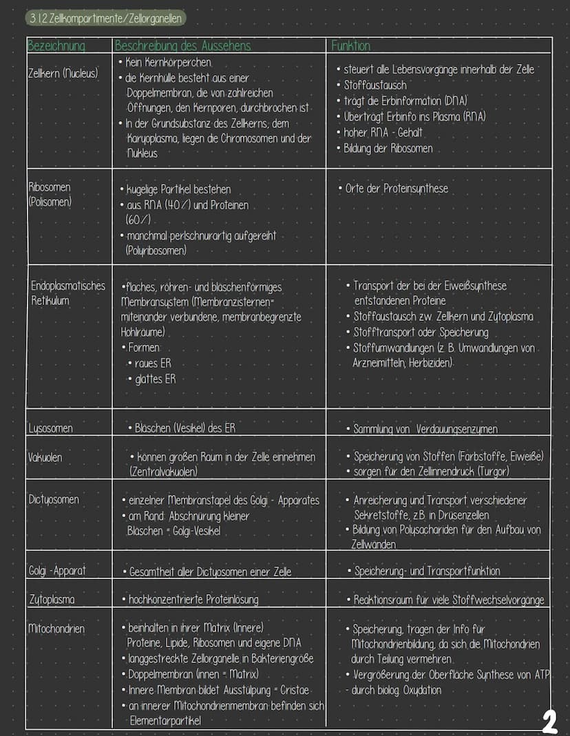  3 Zellbiologie
3.1 Zelle - Gewebe - Organismus
3.11 Bau von tierischen und pflanzlichen Zellen
Zellkompartimente/Zellorganellen
3.1.2
3.13 