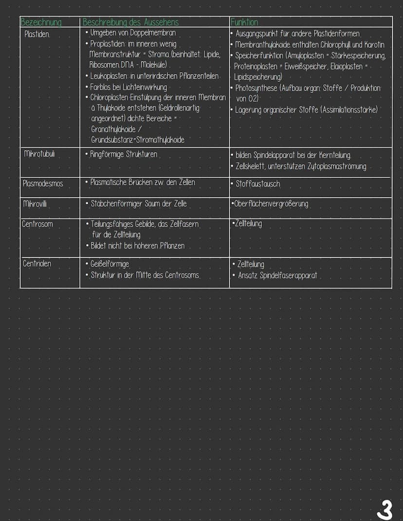  3 Zellbiologie
3.1 Zelle - Gewebe - Organismus
3.11 Bau von tierischen und pflanzlichen Zellen
Zellkompartimente/Zellorganellen
3.1.2
3.13 