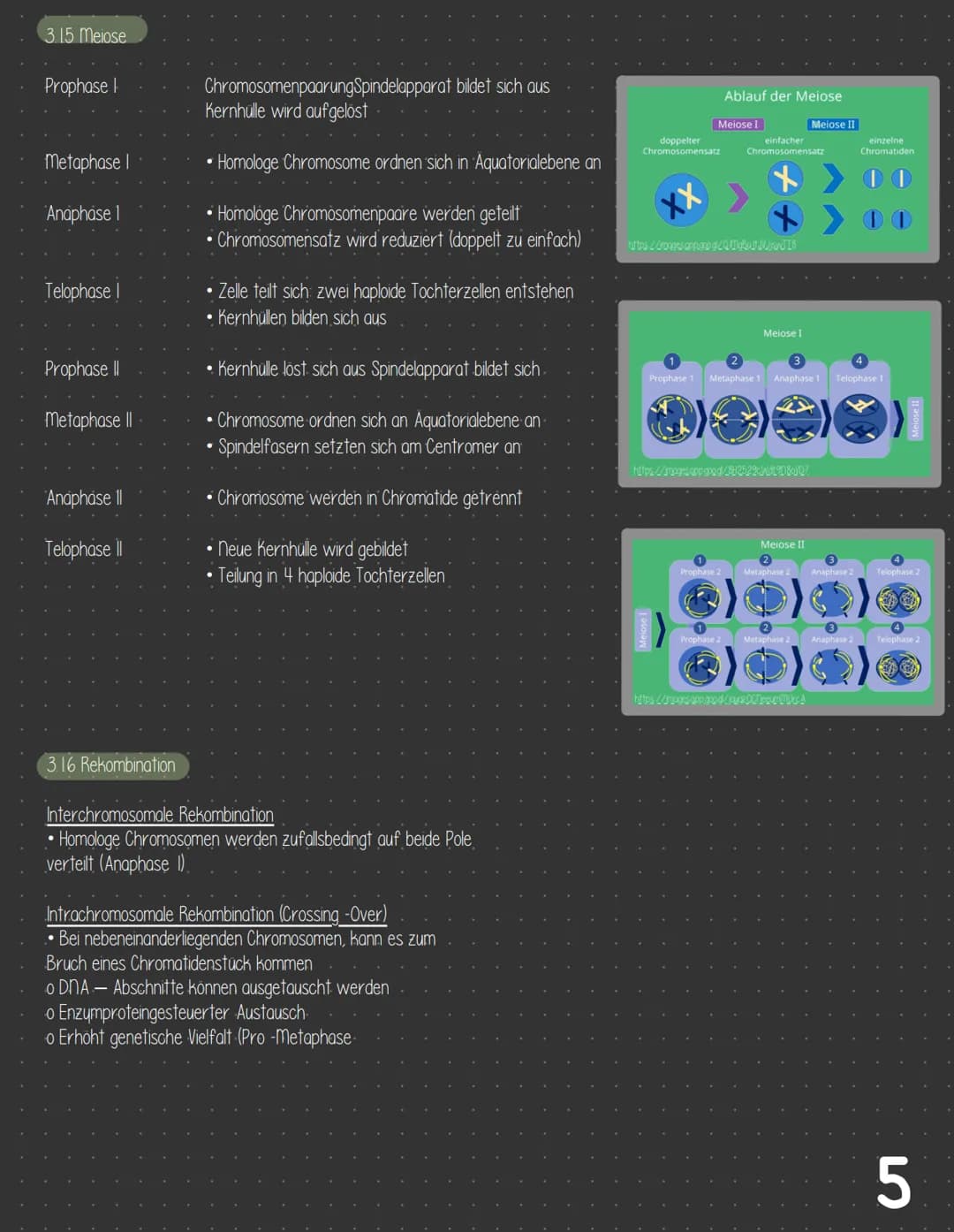  3 Zellbiologie
3.1 Zelle - Gewebe - Organismus
3.11 Bau von tierischen und pflanzlichen Zellen
Zellkompartimente/Zellorganellen
3.1.2
3.13 
