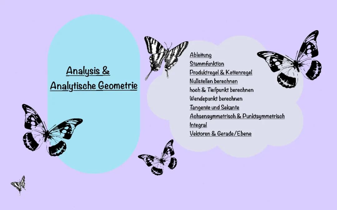 Analysis & Analytische Geometrie